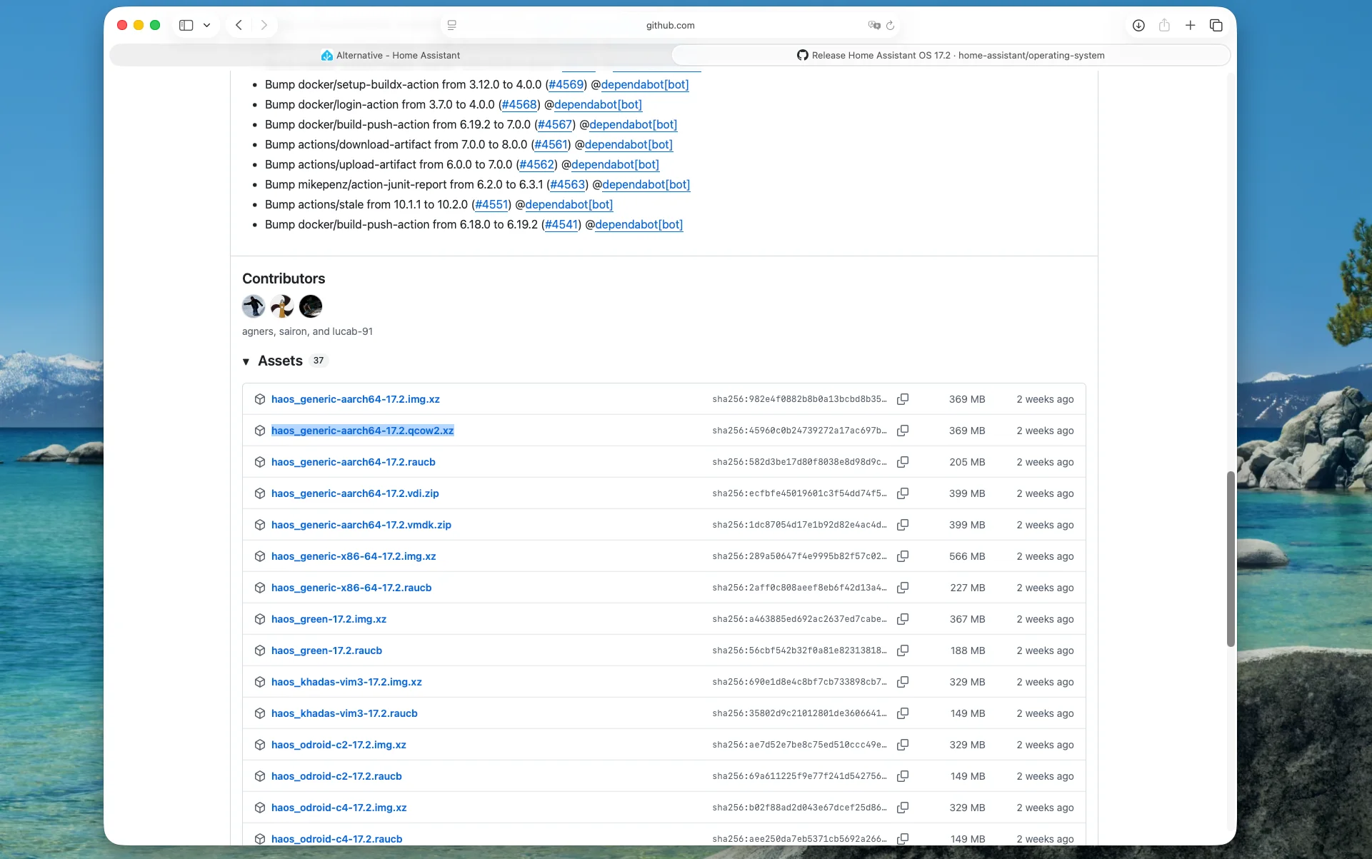 Pagina GitHub della release di Home Assistant OS 17.2 con la lista degli asset scaricabili
