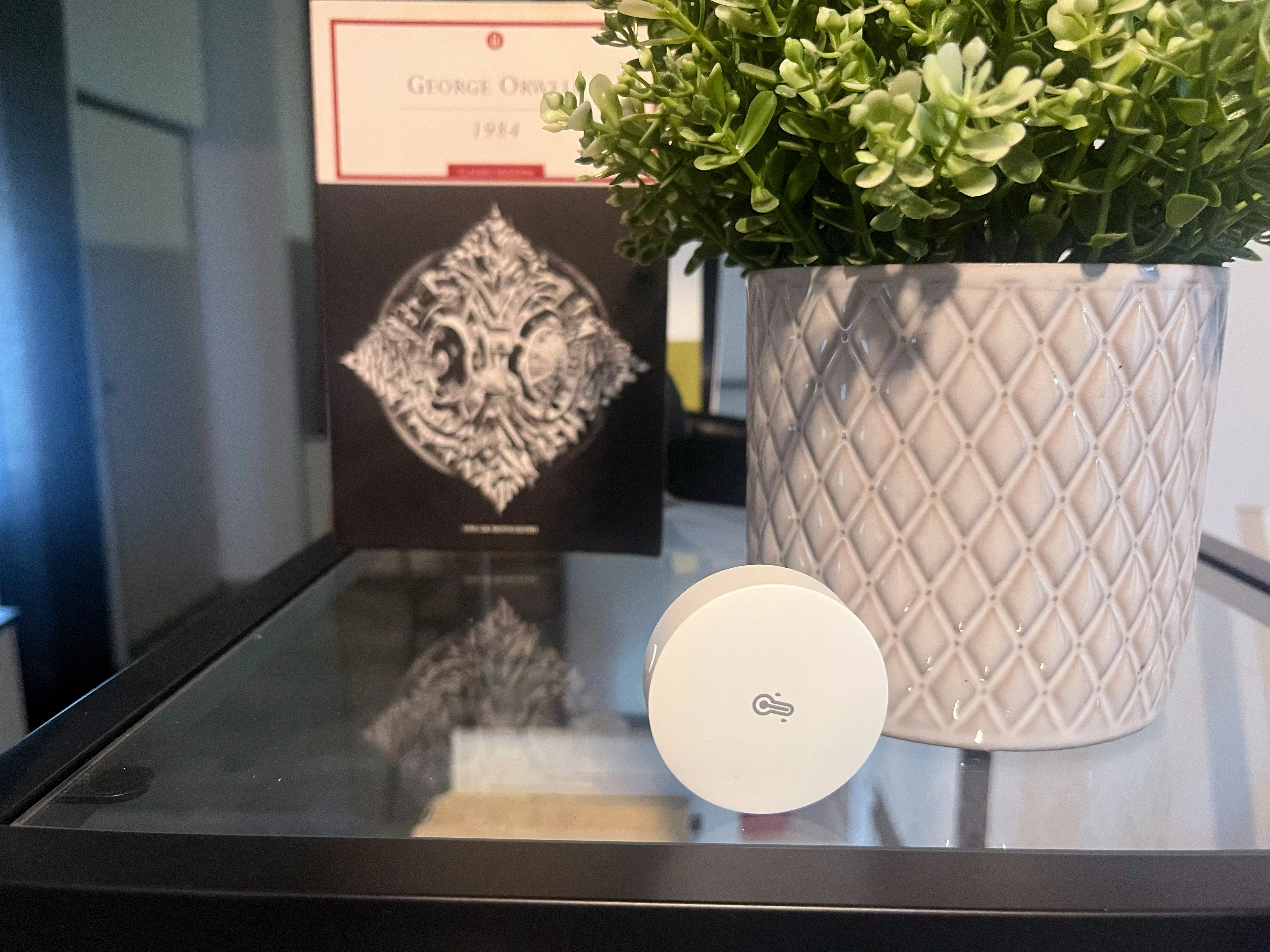 Sensore di temperatura Sonoff Zigbee piccolo ed economico