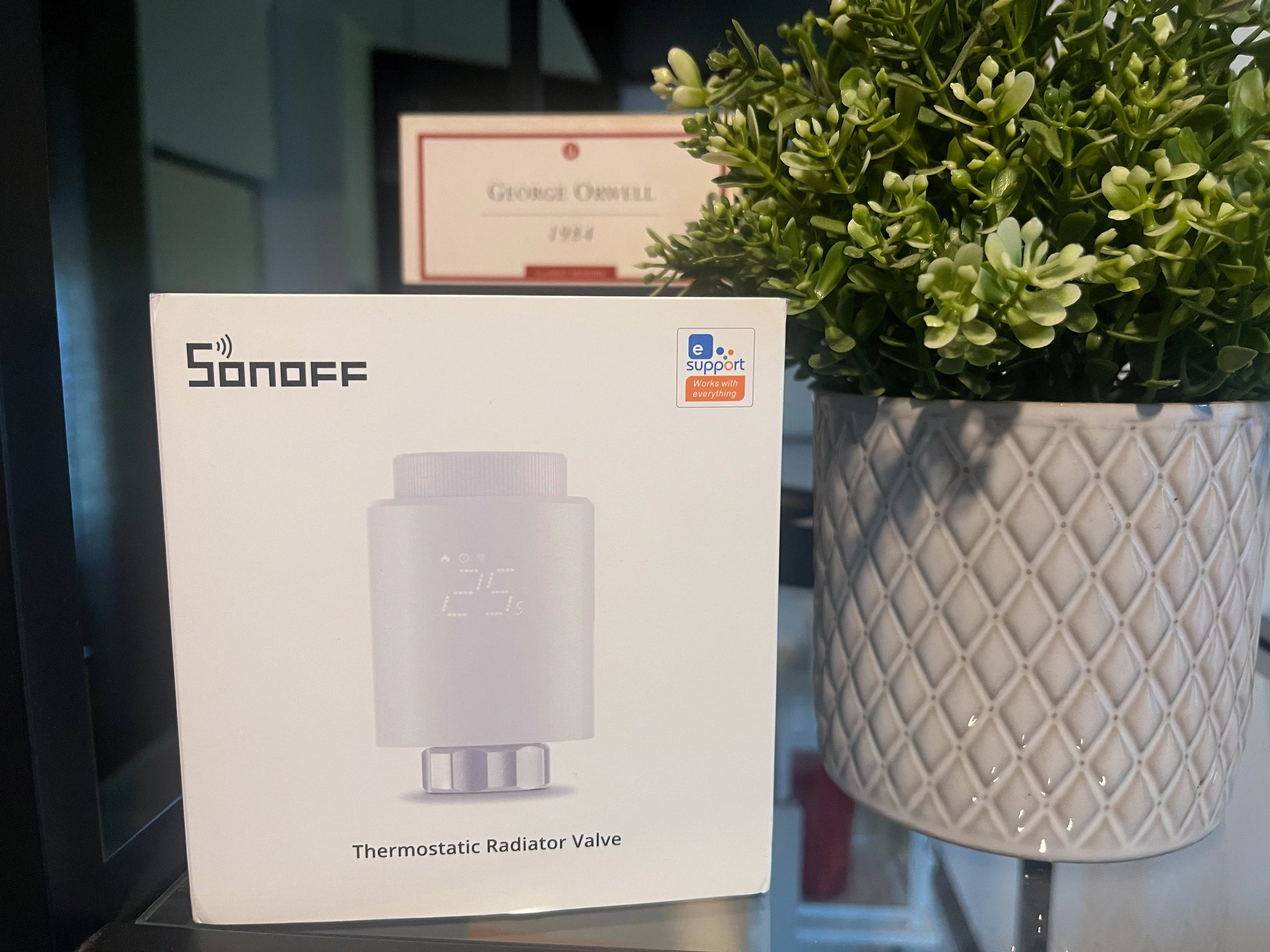 Valvola termostatica Sonoff TRVZB Zigbee